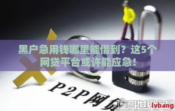 黑户急用钱哪里能借到？这5个网贷平台或许能应急！