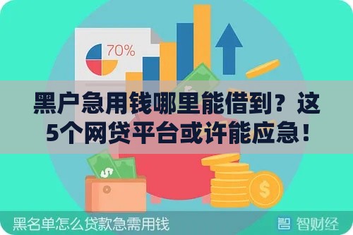黑户急用钱哪里能借到？这5个网贷平台或许能应急！