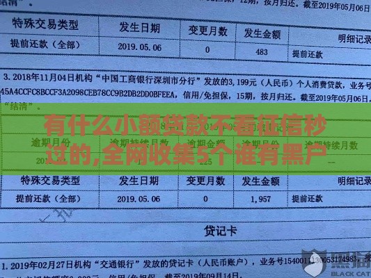 有什么小额贷款不看征信秒过的,全网收集5个谁有黑户包下的口子 有什么小额贷款不看征信秒过的,全网收集5个谁有黑户包下的口子