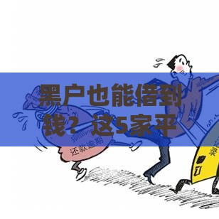 黑户也能借到钱？这5家平台不看征信真实下款