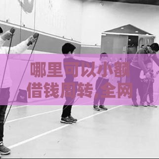 哪里可以小额借钱周转,全网收集5个杭州黑户贷款口子