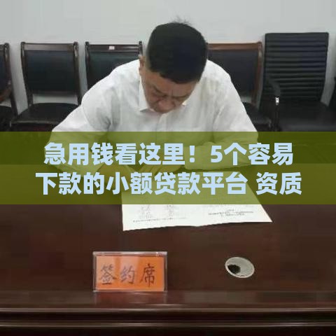 急用钱看这里！5个容易下款的小额贷款平台 资质宽松到账快