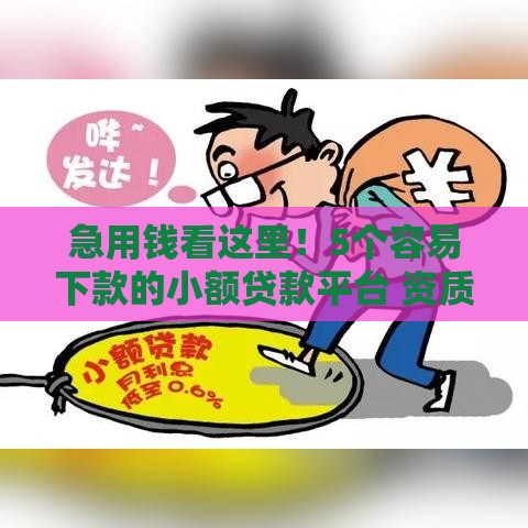 急用钱看这里！5个容易下款的小额贷款平台 资质宽松到账快