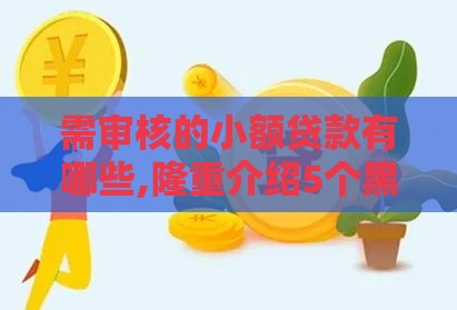 需审核的小额贷款有哪些,隆重介绍5个黑户口子贷款