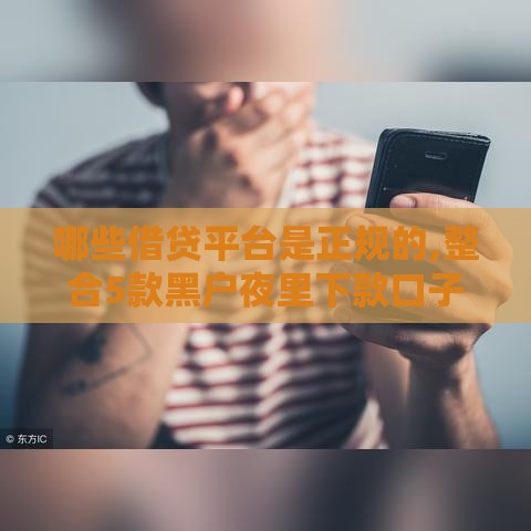 哪些借贷平台是正规的,整合5款黑户夜里下款口子