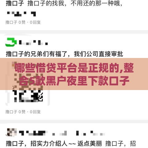 哪些借贷平台是正规的,整合5款黑户夜里下款口子