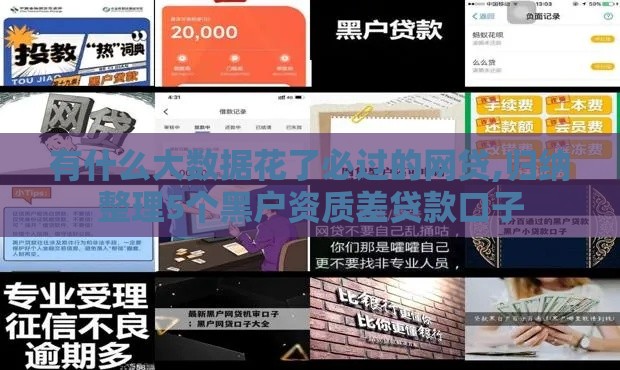 有什么大数据花了必过的网贷,归纳整理5个黑户资质差贷款口子