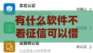 有什么软件不看征信可以借到钱,值得收藏的5个4396元黑户口子
