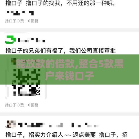 能放款的借款,整合5款黑户来钱口子