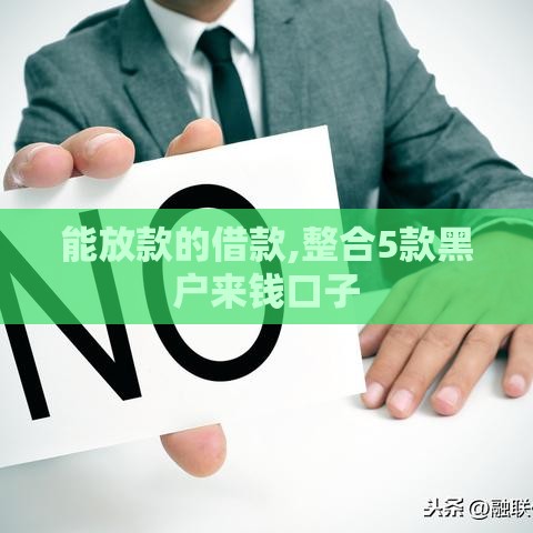 能放款的借款,整合5款黑户来钱口子
