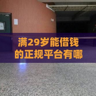 满29岁能借钱的正规平台有哪些？盘点5个靠谱渠道，速看避坑！