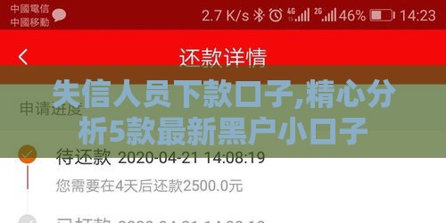 失信人员下款口子,精心分析5款最新黑户小口子