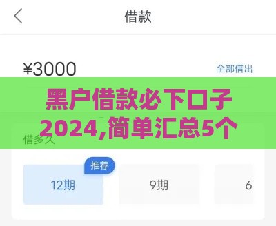 黑户借款必下口子2024,简单汇总5个黑户的口子是啥意思