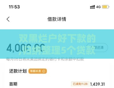 双黑烂户好下款的,归纳整理5个贷款黑户的口子