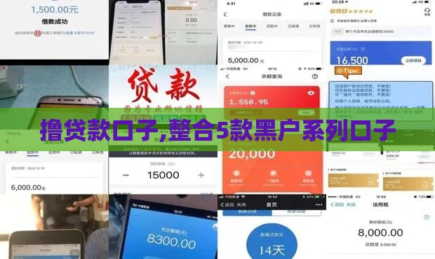 撸贷款口子,整合5款黑户系列口子