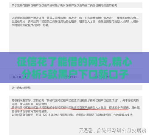 征信花了能借的网贷,精心分析5款黑户下口新口子