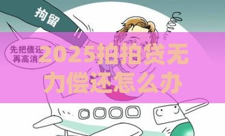 2025拍拍贷无力偿还怎么办,归纳整理5个有没有黑户贷款口子