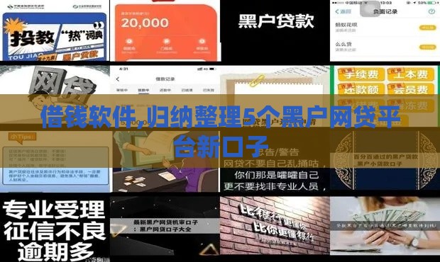 借钱软件,归纳整理5个黑户网贷平台新口子