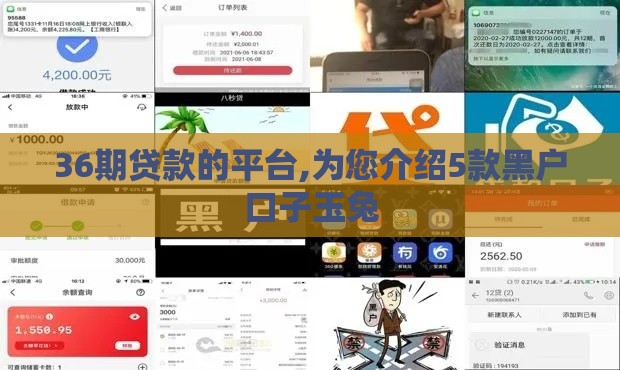 36期贷款的平台,为您介绍5款黑户口子玉兔
