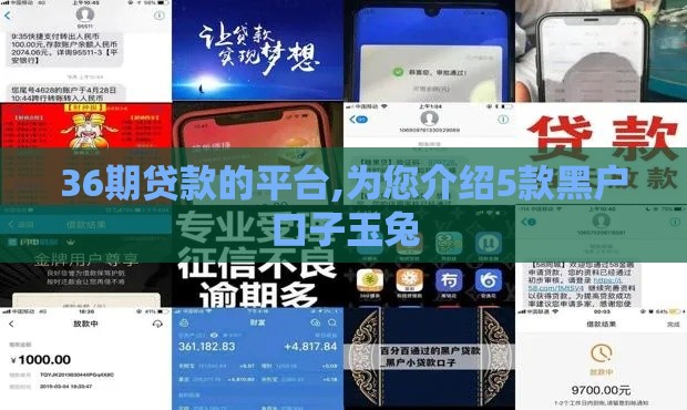 36期贷款的平台,为您介绍5款黑户口子玉兔