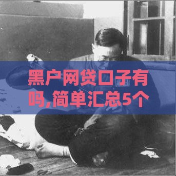 黑户网贷口子有吗,简单汇总5个黑户口子借了不用还