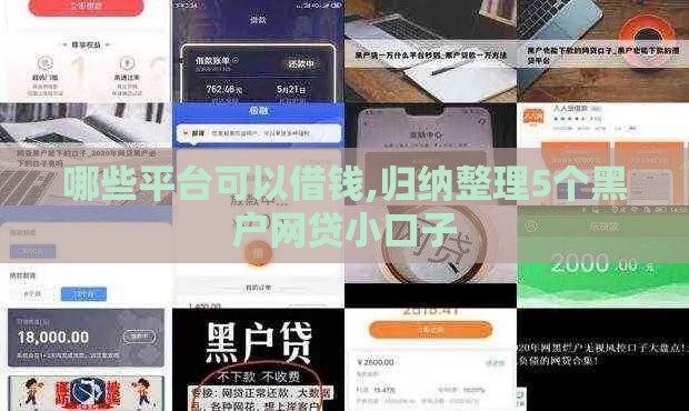 哪些平台可以借钱,归纳整理5个黑户网贷小口子