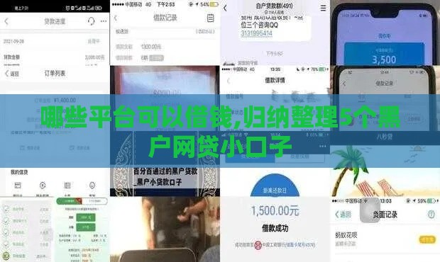哪些平台可以借钱,归纳整理5个黑户网贷小口子