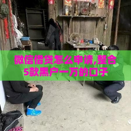 微信借贷怎么申请,整合5款黑户一万的口子