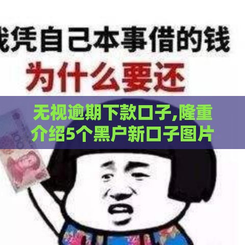 无视逾期下款口子,隆重介绍5个黑户新口子图片