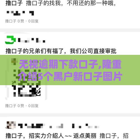 无视逾期下款口子,隆重介绍5个黑户新口子图片