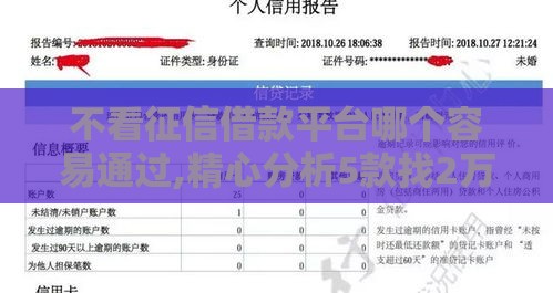 不看征信借款平台哪个容易通过,精心分析5款找2万左右黑户口子