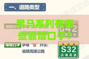 黑马系列有哪些靠谱口子？这5个隐藏款帮你应急不求人！
