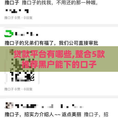 贷款平台有哪些,整合5款推荐黑户能下的口子