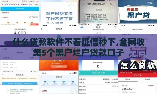 什么贷款软件不看征信秒下,全网收集5个黑户烂户贷款口子