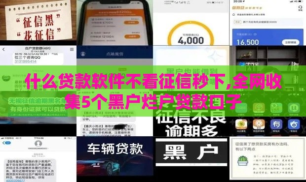 什么贷款软件不看征信秒下,全网收集5个黑户烂户贷款口子