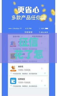 征信花了怎么借款30万,精心分析5款黑户口子大全入口