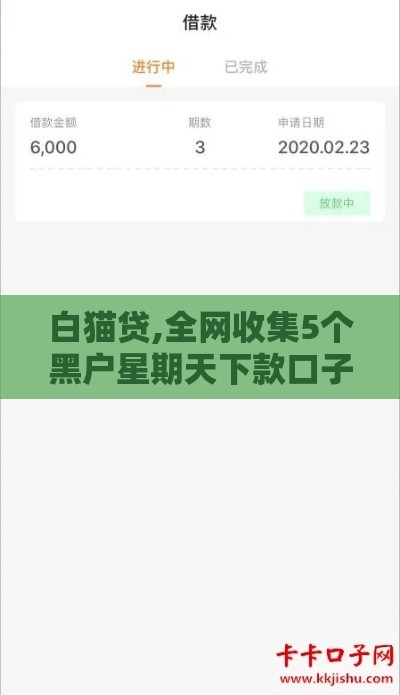 白猫贷,全网收集5个黑户星期天下款口子