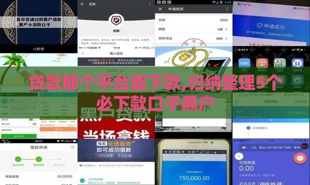 贷款那个平台能下款,归纳整理5个必下款口子黑户