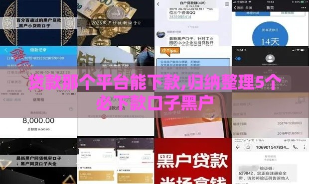 贷款那个平台能下款,归纳整理5个必下款口子黑户