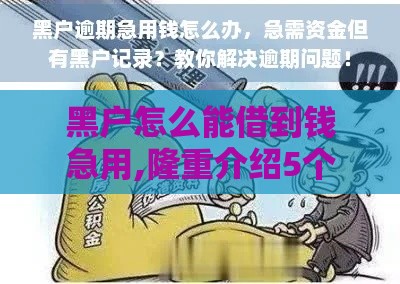 黑户怎么能借到钱急用,隆重介绍5个黑户高炮口子都不下