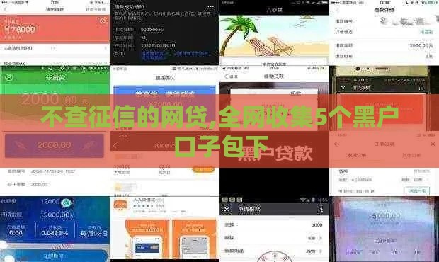 不查征信的网贷,全网收集5个黑户口子包下