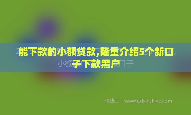 能下款的小额贷款,隆重介绍5个新口子下款黑户