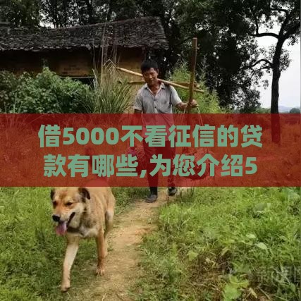 借5000不看征信的贷款有哪些,为您介绍5款适合黑户贷款的口子 借5000不看征信的贷款有哪些,为您介绍5款适合黑户贷款的口子