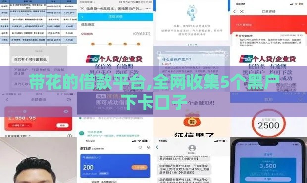 带花的借款平台,全网收集5个黑户下卡口子
