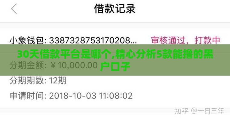 30天借款平台是哪个,精心分析5款能撸的黑户口子