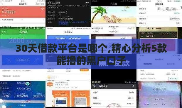 30天借款平台是哪个,精心分析5款能撸的黑户口子