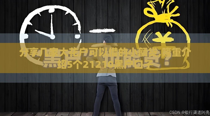 分享几家大花户可以借的小额贷,隆重介绍5个21210黑户口子