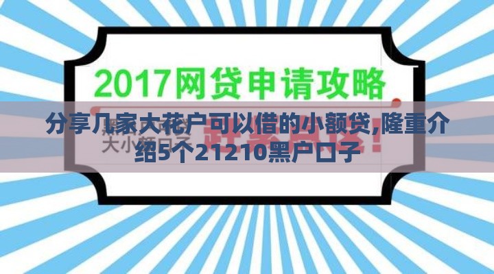 分享几家大花户可以借的小额贷,隆重介绍5个21210黑户口子