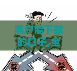 黑户能下款的口子,全网收集5个黑户高利贷下款口子