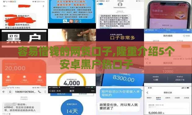 容易借钱的网贷口子,隆重介绍5个安卓黑户热口子